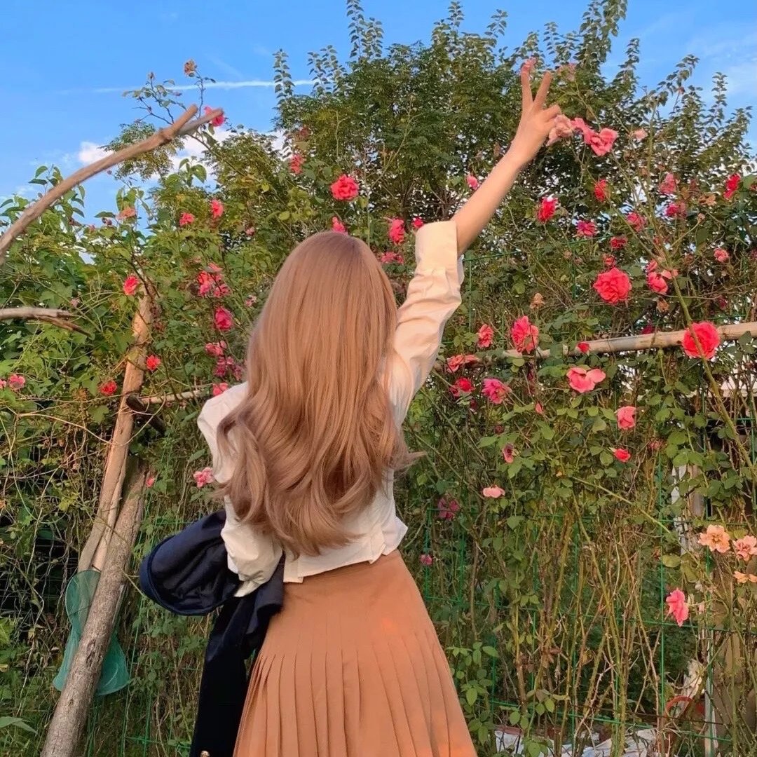 伊芙与火马