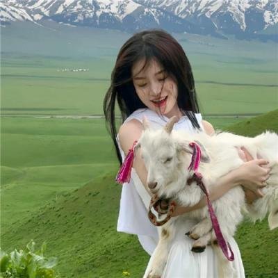 秀逗小护士4